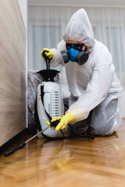 Best Fumigation Services  in Forest City, NC